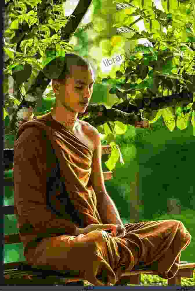 A Monk Sitting In A Peaceful Forest Without Any Electronic Devices How To Live Like A Monk: Medieval Wisdom For Modern Life