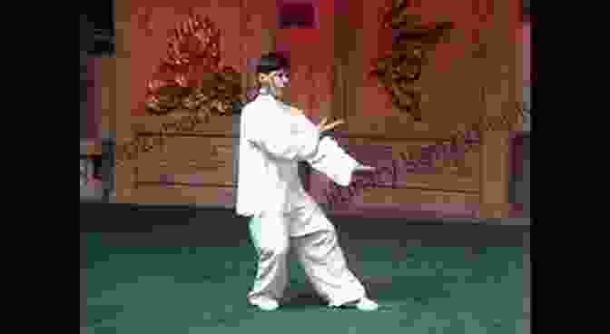 A Photo Of Master Yang Jun Performing Tai Chi Chuan Tai Chi Chuan Classical Yang Style: The Complete Long Form And Qigong