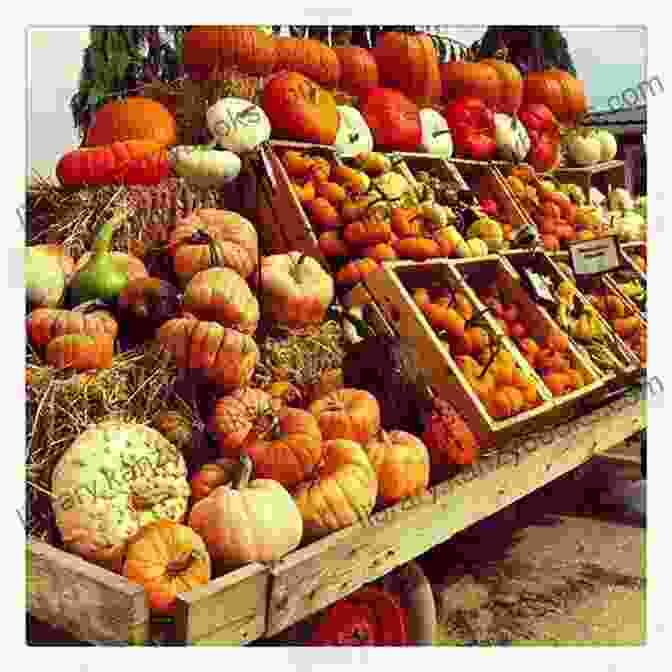 A Warm And Inviting Display Of Fall Produce, Including Apples, Pears, And Pumpkins. Market Restaurant + Bar Cookbook: Seasonally Inspired Cuisine From Southern California