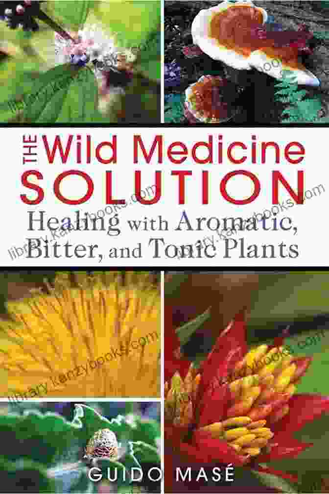 The Wild Medicine Solution Book Cover Featuring A Vibrant Collage Of Medicinal Herbs And Plants. The Wild Medicine Solution: Healing With Aromatic Bitter And Tonic Plants