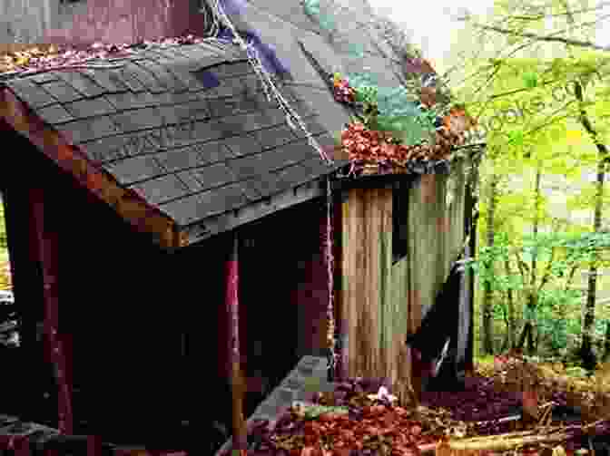 Willow Seeks Refuge From The Storm In An Abandoned Cabin. The Storm And The Garden: Based On A True Story From The Life Of Saint Francis De Sales Gentleman Saint