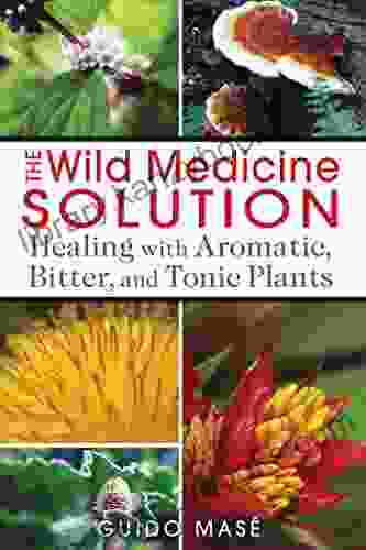 The Wild Medicine Solution: Healing with Aromatic Bitter and Tonic Plants