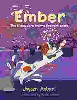 Ember: The Kitten Born from a Firework Spark