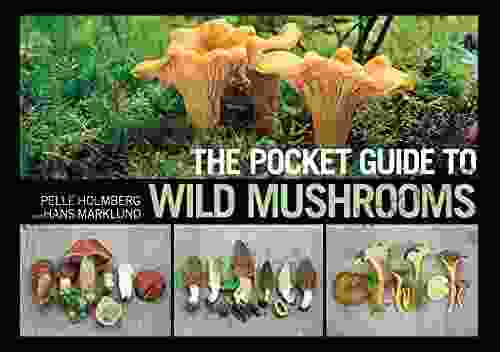 The Pocket Guide To Wild Mushrooms: Helpful Tips For Mushrooming In The Field