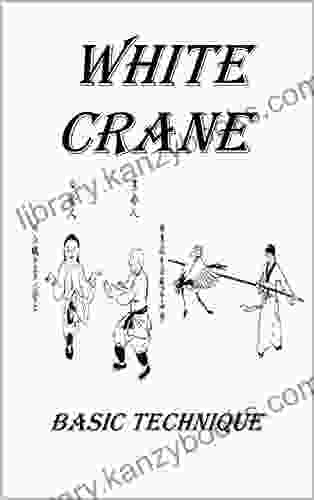 White Crane Secrets Of Internal Power 2: Basic Technique (White Crane Secrets Of Internal Power)